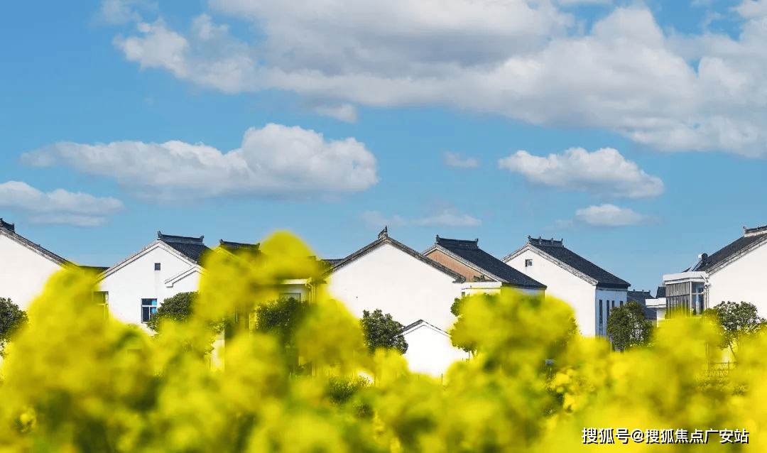 4楼盘评测_望湖玫瑰园｜最新价格｜配套户型龙8囯际望湖玫瑰园(苏州)首页网站-202(图13)